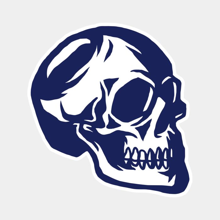 Elements Skulls logo template 139 Thumbnail