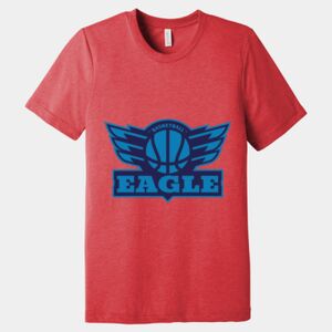 Unisex Triblend Tee (same day) Thumbnail