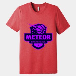 Unisex Triblend Tee (same day) Thumbnail