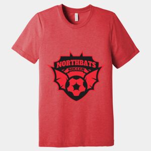 Unisex Triblend Tee (same day) Thumbnail