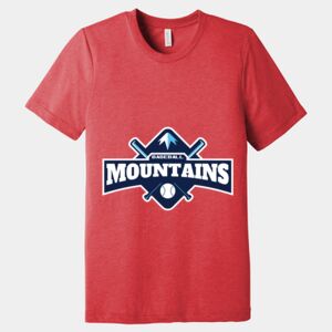 Unisex Triblend Tee (same day) Thumbnail