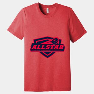 Unisex Triblend Tee (same day) Thumbnail