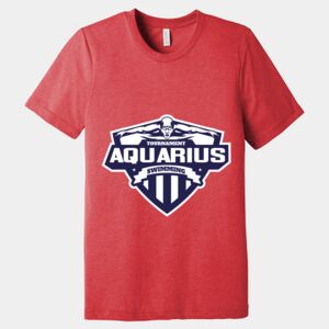 Unisex Triblend Tee (same day) Thumbnail