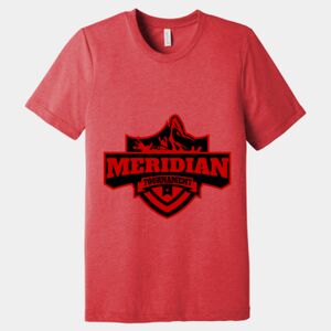 Unisex Triblend Tee (same day) Thumbnail