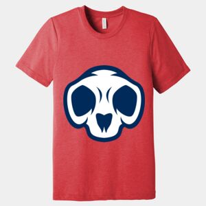 Unisex Triblend Tee (same day) Thumbnail