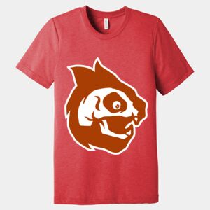 Unisex Triblend Tee (same day) Thumbnail