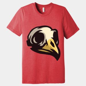 Unisex Triblend Tee (same day) Thumbnail