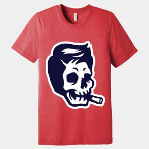 Unisex Triblend Tee (same day) Thumbnail