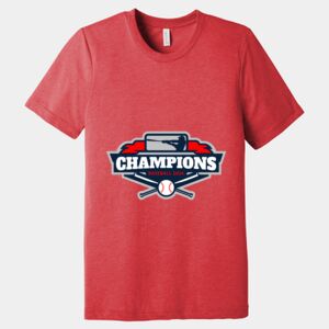 Unisex Triblend Tee (same day) Thumbnail