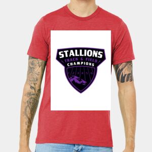 Unisex Triblend Tee (same day) Thumbnail