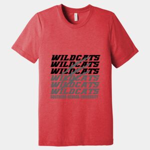 Unisex Triblend Tee (same day) Thumbnail