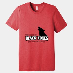 Unisex Triblend Tee (same day) Thumbnail