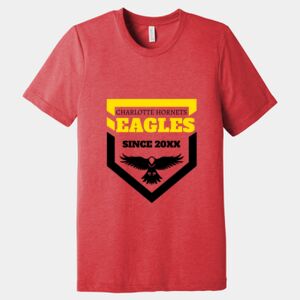 Unisex Triblend Tee (same day) Thumbnail
