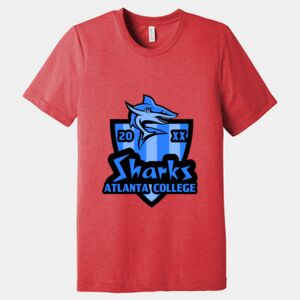 Unisex Triblend Tee (same day) Thumbnail