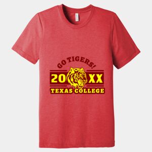 Unisex Triblend Tee (same day) Thumbnail