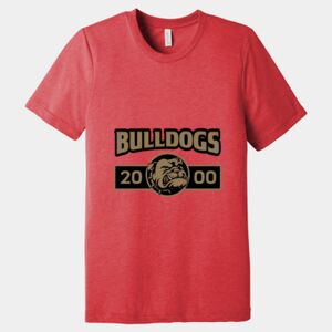 Unisex Triblend Tee (same day) Thumbnail