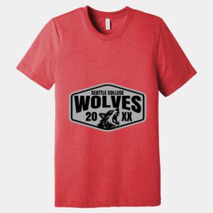 Unisex Triblend Tee (same day) Thumbnail