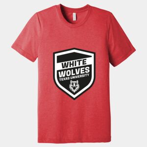 Unisex Triblend Tee (same day) Thumbnail