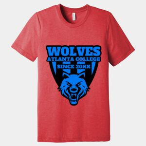 Unisex Triblend Tee (same day) Thumbnail