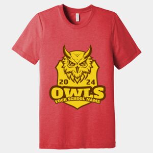 Unisex Triblend Tee (same day) Thumbnail