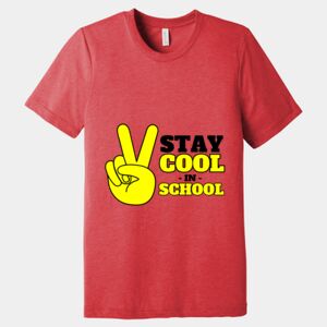 Unisex Triblend Tee (same day) Thumbnail