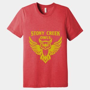 Unisex Triblend Tee (same day) Thumbnail