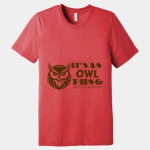 Unisex Triblend Tee (same day) Thumbnail