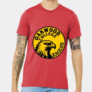 Unisex Triblend Tee (same day) Thumbnail