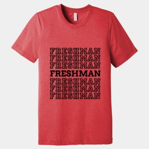 Unisex Triblend Tee (same day) Thumbnail