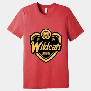 Unisex Triblend Tee (same day) Thumbnail
