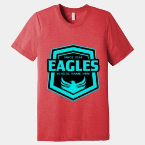 Unisex Triblend Tee (same day) Thumbnail