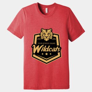 Unisex Triblend Tee (same day) Thumbnail