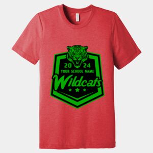 Unisex Triblend Tee (same day) Thumbnail