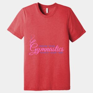 Unisex Triblend Tee (same day) Thumbnail