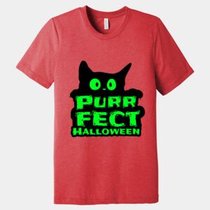 Unisex Triblend Tee (same day) Thumbnail