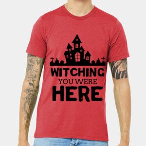 Unisex Triblend Tee (same day) Thumbnail