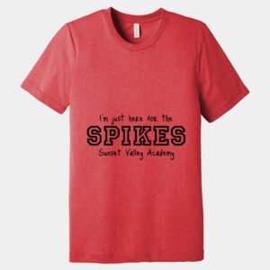 Unisex Triblend Tee (same day) Thumbnail