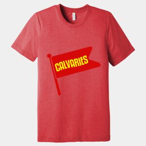 Unisex Triblend Tee (same day) Thumbnail