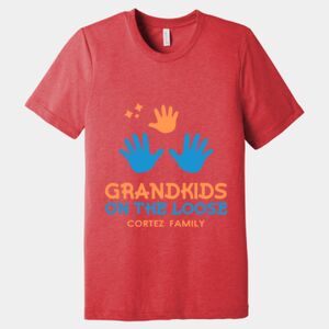 Unisex Triblend Tee (same day) Thumbnail