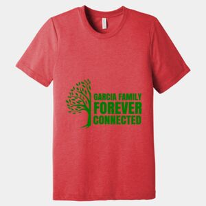 Unisex Triblend Tee (same day) Thumbnail