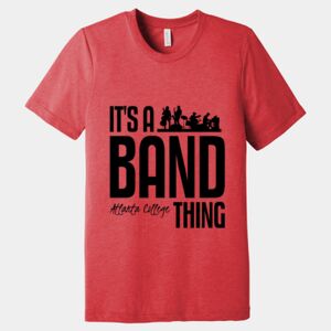 Unisex Triblend Tee (same day) Thumbnail