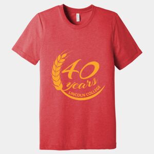 Unisex Triblend Tee (same day) Thumbnail