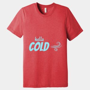 Unisex Triblend Tee (same day) Thumbnail